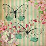 REF: 000009484 CACH. LAMINA ADHESIVA 16 X 16
