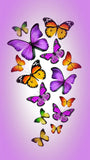 REF: 000009395 CACH. LAMINA ADHESIVA SURTIDA 21*28 CMS CARTA