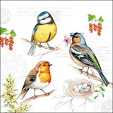 REF: 000009484 CACH. LAMINA ADHESIVA 16 X 16