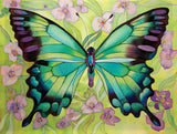 REF: 000009478 CACH. LAMINA ADHESIVA 40 X 30 CMS IMPRESA