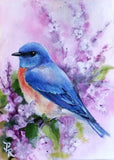 REF: 000009395 CACH. LAMINA ADHESIVA SURTIDA 21*28 CMS CARTA