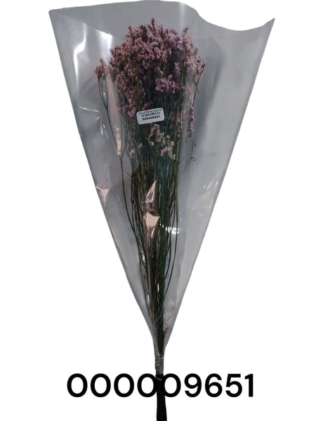 REF: 000009651 CACH. FOLLAJE TROPICAL