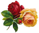 REF: 000009478 CACH. LAMINA ADHESIVA 40 X 30 CMS IMPRESA