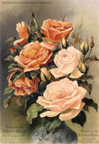 REF: 000009395 CACH. LAMINA ADHESIVA SURTIDA 21*28 CMS CARTA