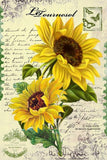 REF: 000009395 CACH. LAMINA ADHESIVA SURTIDA 21*28 CMS CARTA