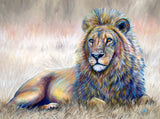REF: 000009478 CACH. LAMINA ADHESIVA 40 X 30 CMS IMPRESA