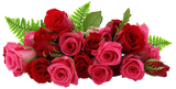 REF: 000009478 CACH. LAMINA ADHESIVA 40 X 30 CMS IMPRESA