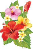 REF: 000009395 CACH. LAMINA ADHESIVA SURTIDA 21*28 CMS CARTA