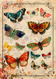 REF: 000009395 CACH. LAMINA ADHESIVA SURTIDA 21*28 CMS CARTA