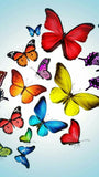 REF: 000009395 CACH. LAMINA ADHESIVA SURTIDA 21*28 CMS CARTA