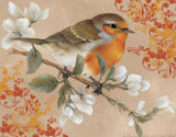REF: 000009478 CACH. LAMINA ADHESIVA 40 X 30 CMS IMPRESA
