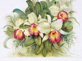 REF: 000009398 CACH. LAMINA ADHESIVA 29 X 30CMS