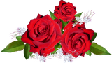 REF: 000009478 CACH. LAMINA ADHESIVA 40 X 30 CMS IMPRESA