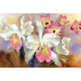 REF: 000009478 CACH. LAMINA ADHESIVA 40 X 30 CMS IMPRESA