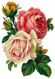 REF: 000009395 CACH. LAMINA ADHESIVA SURTIDA 21*28 CMS CARTA
