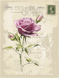 REF: 000009395 CACH. LAMINA ADHESIVA SURTIDA 21*28 CMS CARTA