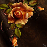 REF: 000009484 CACH. LAMINA ADHESIVA 16 X 16