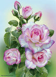 REF: 000009395 CACH. LAMINA ADHESIVA SURTIDA 21*28 CMS CARTA