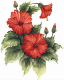 REF: 000009395 LAMINA ADHESIVA SURTIDA TAMAÑO CARTA #5