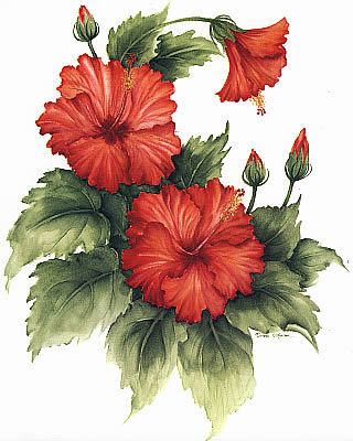 REF: 000009395 LAMINA ADHESIVA SURTIDA TAMAÑO CARTA #5
