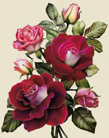 REF: 000009395 LAMINA ADHESIVA SURTIDA TAMAÑO CARTA #7