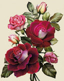 REF: 000009395 LAMINA ADHESIVA SURTIDA TAMAÑO CARTA #7